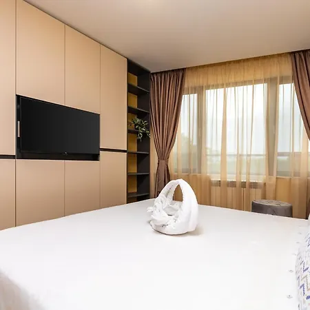 Duos Of Delight Matching Urban For Your Adventure By Flat Mаnager *